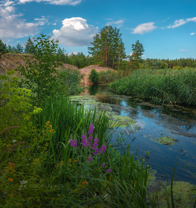 Фёдор Лашков фотограф река