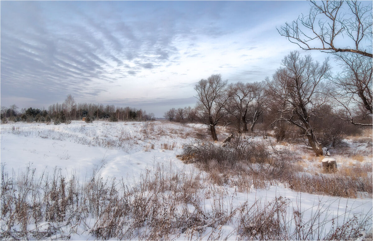 Зимний пейзаж - Александр Максимов