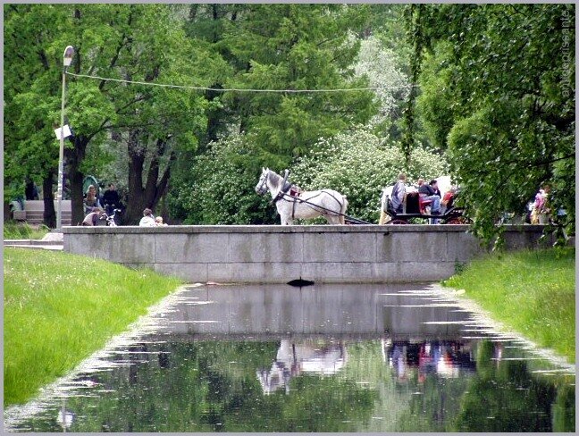 В парке - vadim 