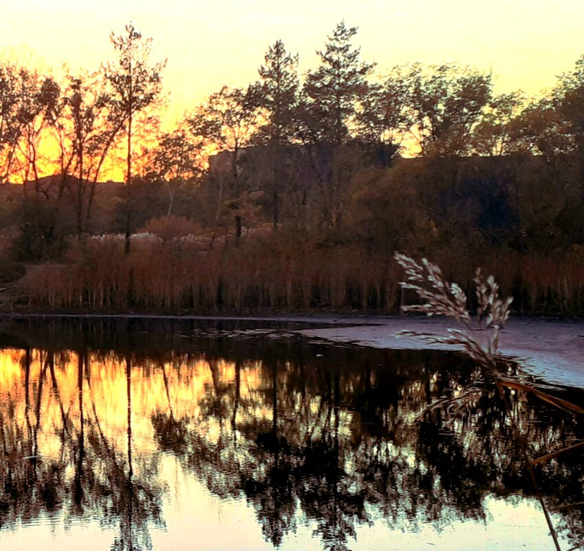 Рассвет на озере - Георгиевич 