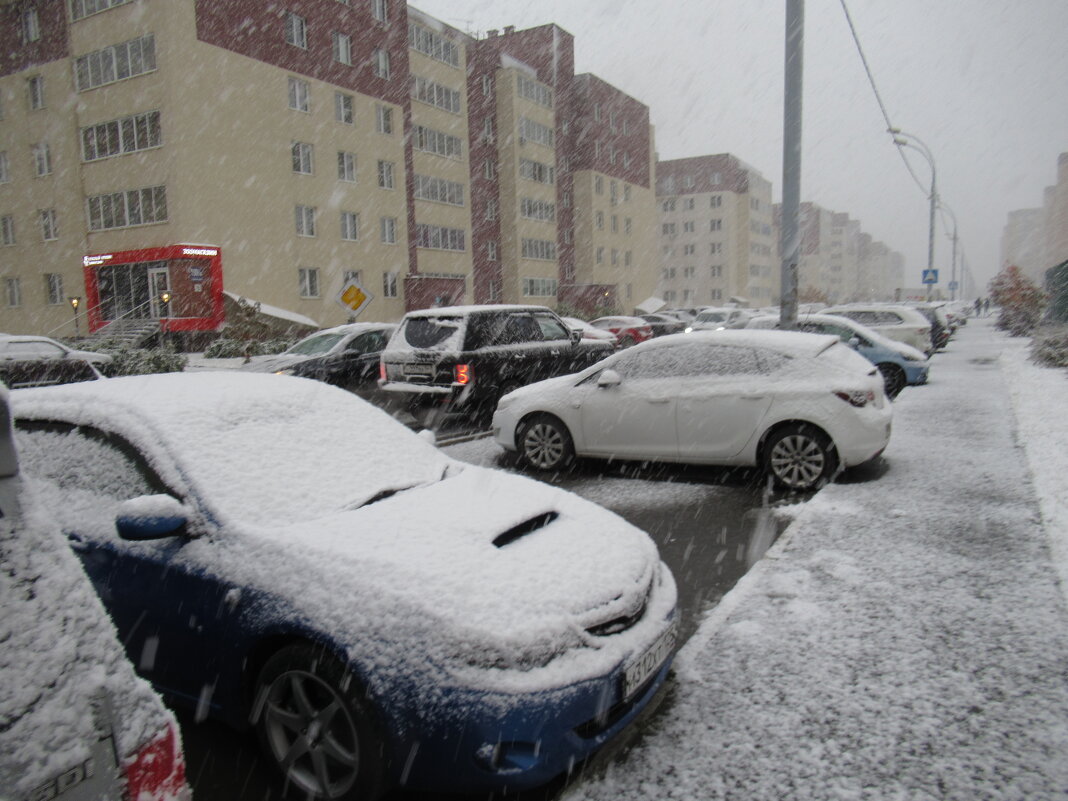 Первый снег - Андрей Макурин