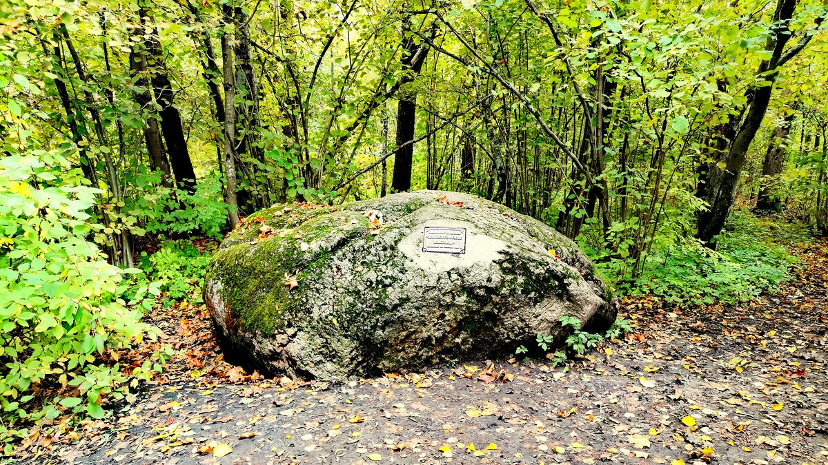 В парке на Вороньей горе - 3 - Сергей 