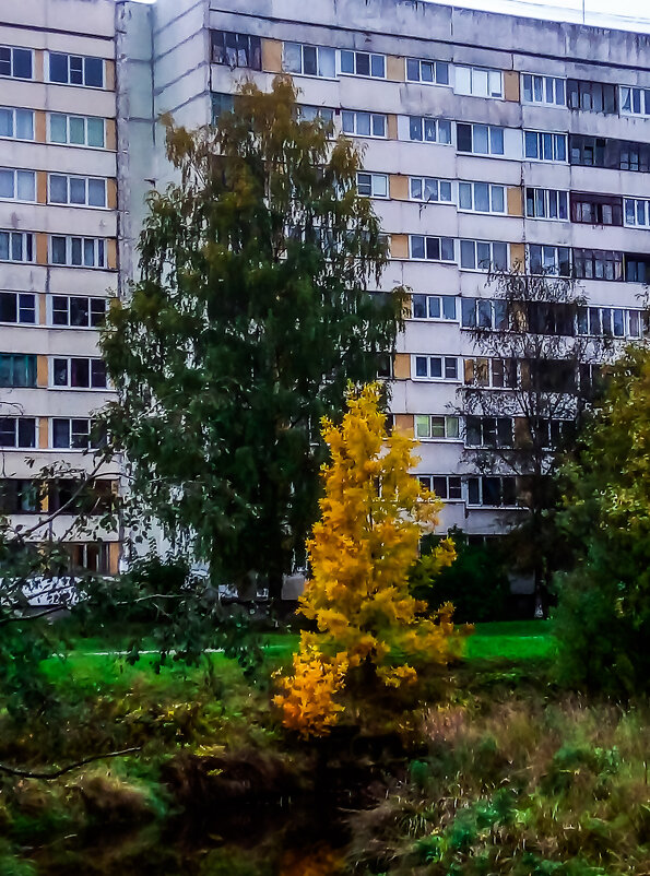 Осень - Сергей Кочнев