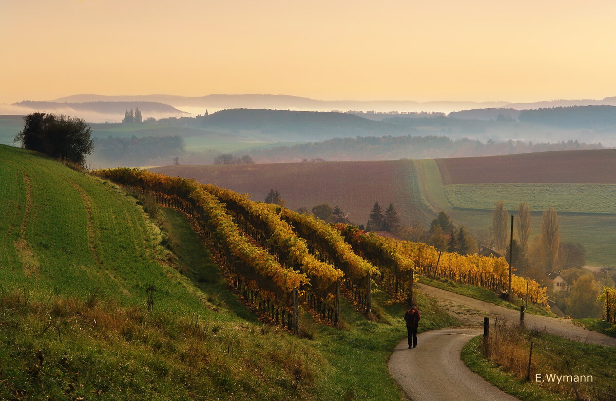 autumn - Elena Wymann