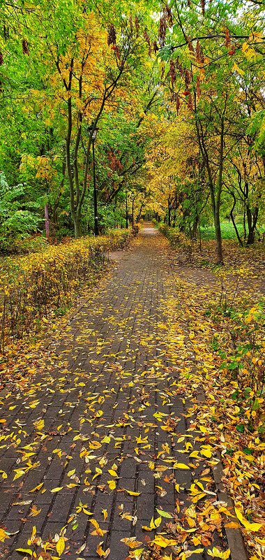 Осенний парк - Светлана Ан