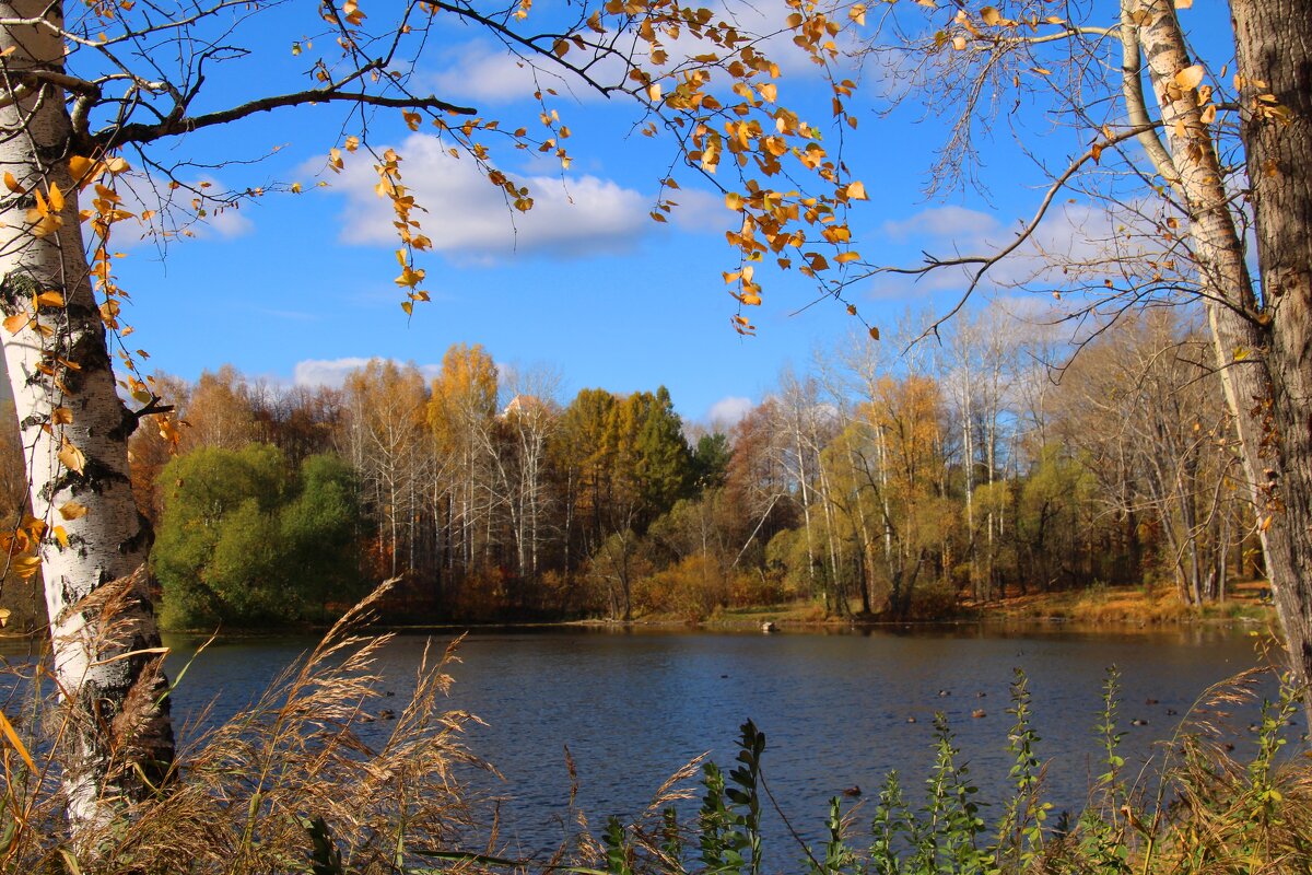 Осенью на озере - владимир тимошенко 