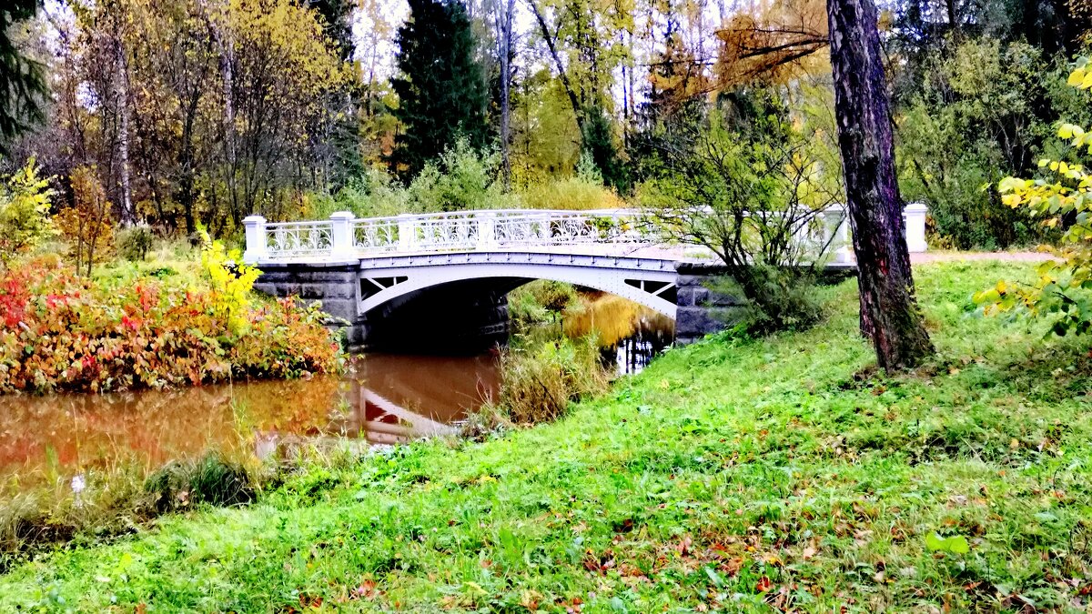 В парке осенью -У Ламских прудов - Сергей 