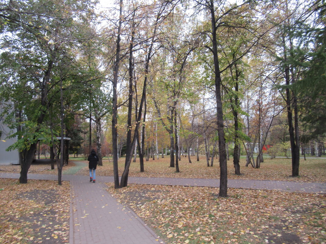 В парке - Андрей Макурин