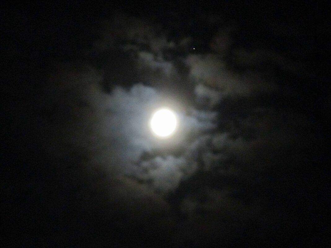 Тут как-то ночью мне в окно Луна с Венерой заглянули... - Михаил Андреев