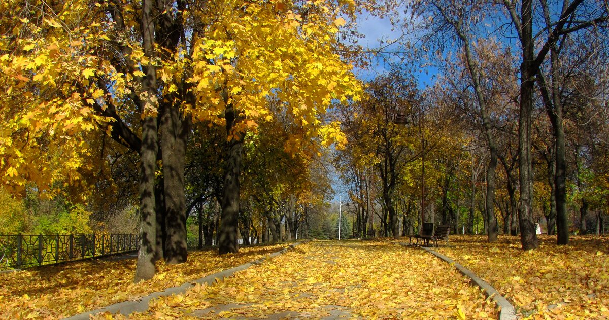 Осень на набережной Донецка. - Геннадий Прохода
