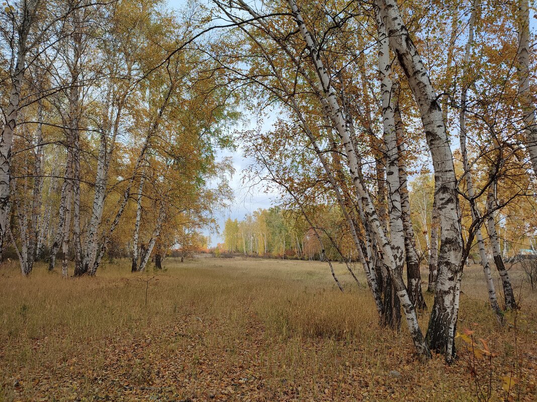 Осень - Валентина Богатко 