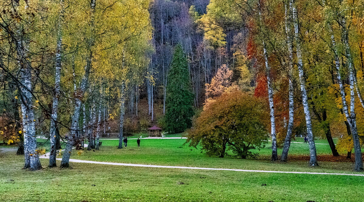 Sigulda 121019 6 - Arturs Ancans