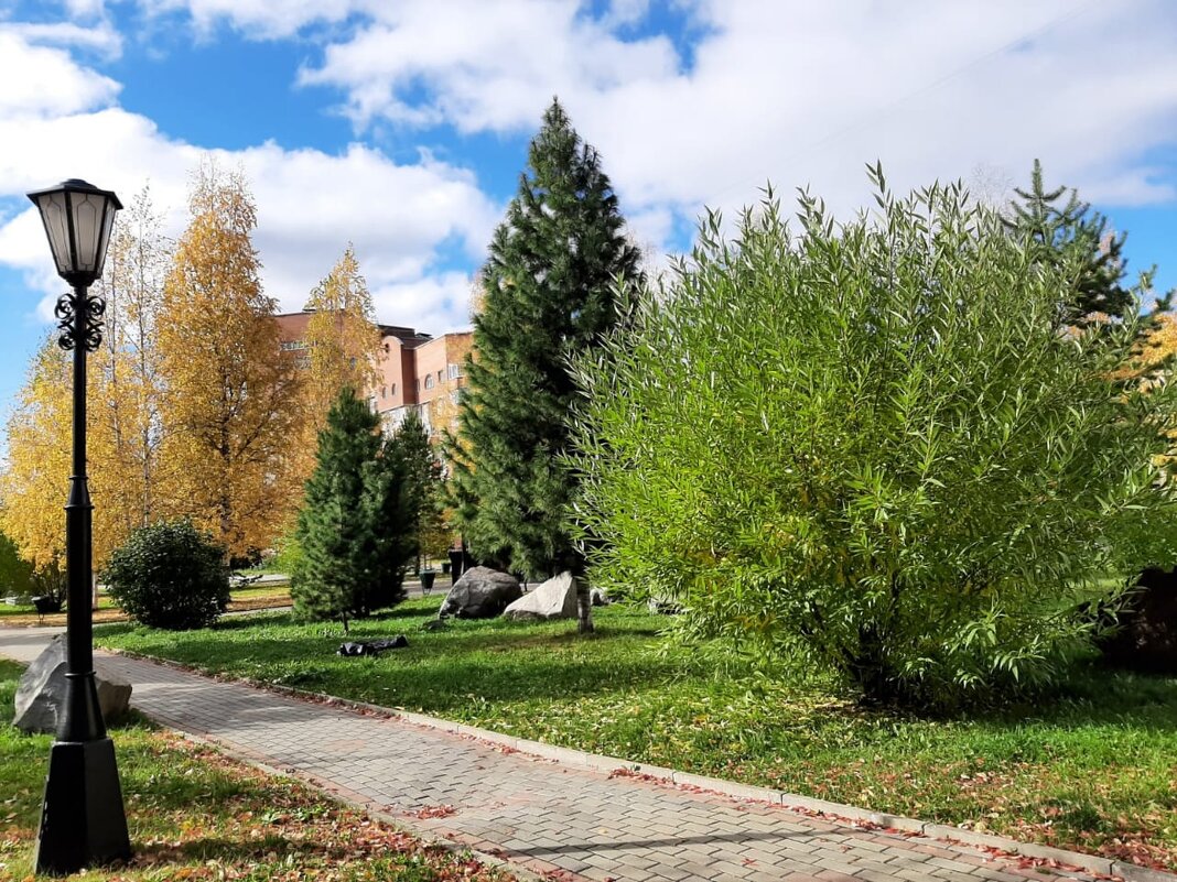 Субровский парк осенью - Алевтина 