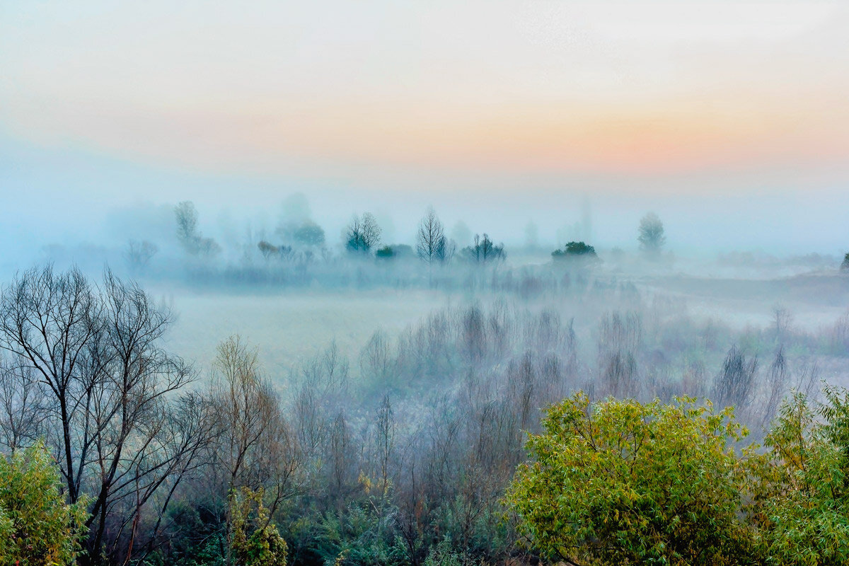 Туман утром до рассвета - Юрий Стародубцев