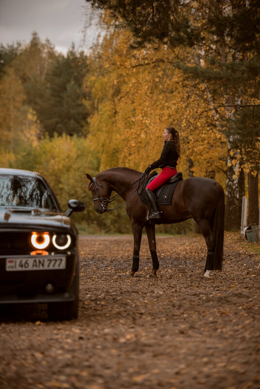 когда любишь и железных коней тоже)) - Дарья Лисицына