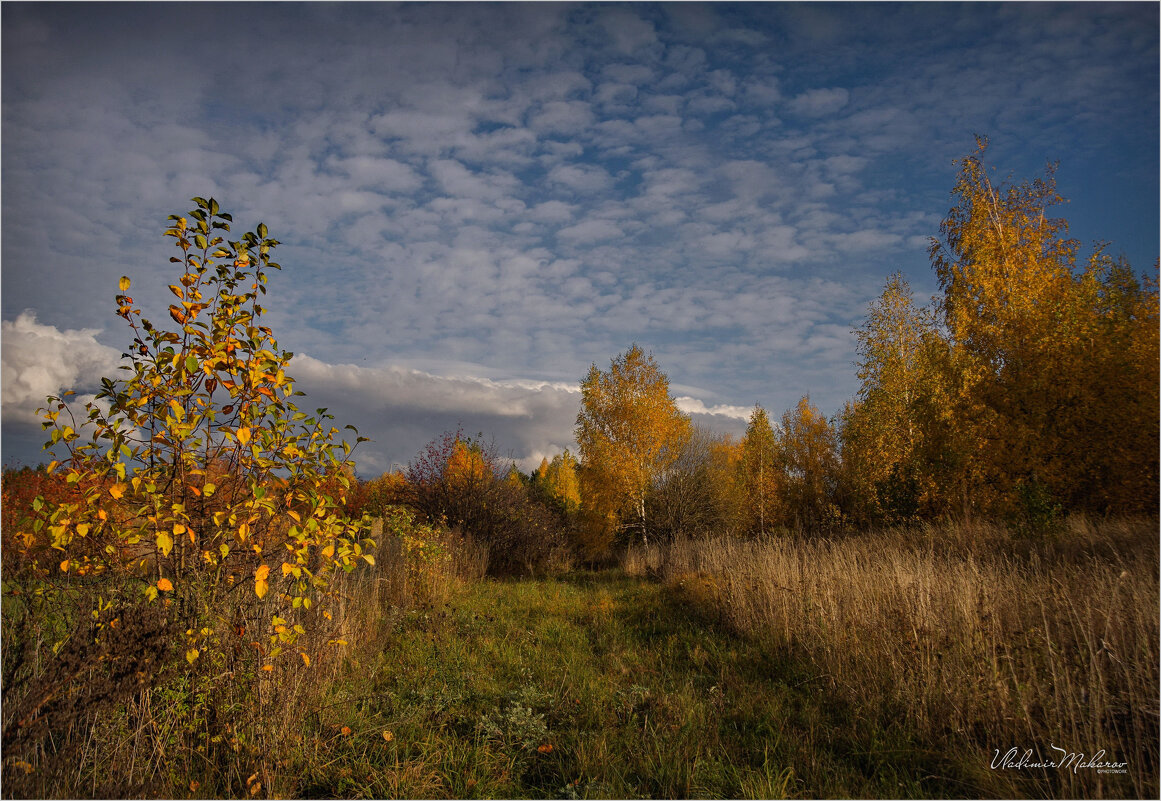 "По скошенной полосе в октябре"© - Владимир Макаров