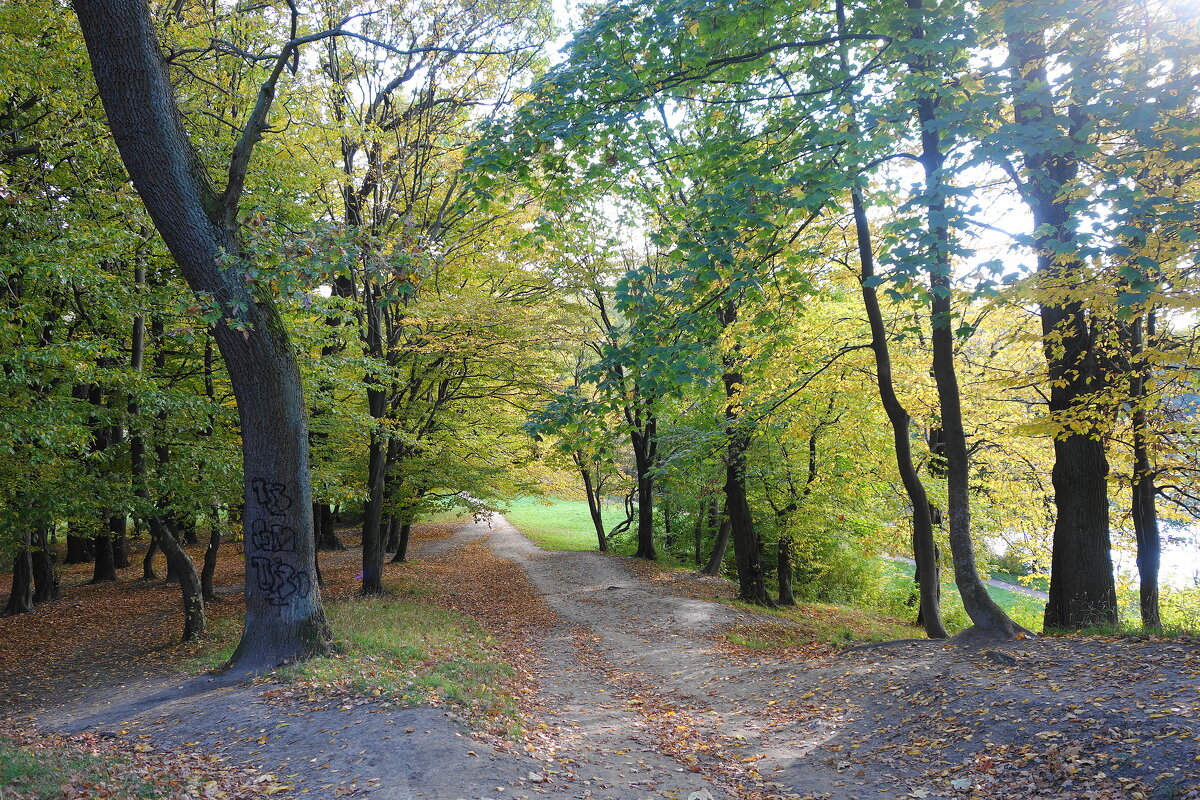 В осеннем парке - Маргарита Батырева