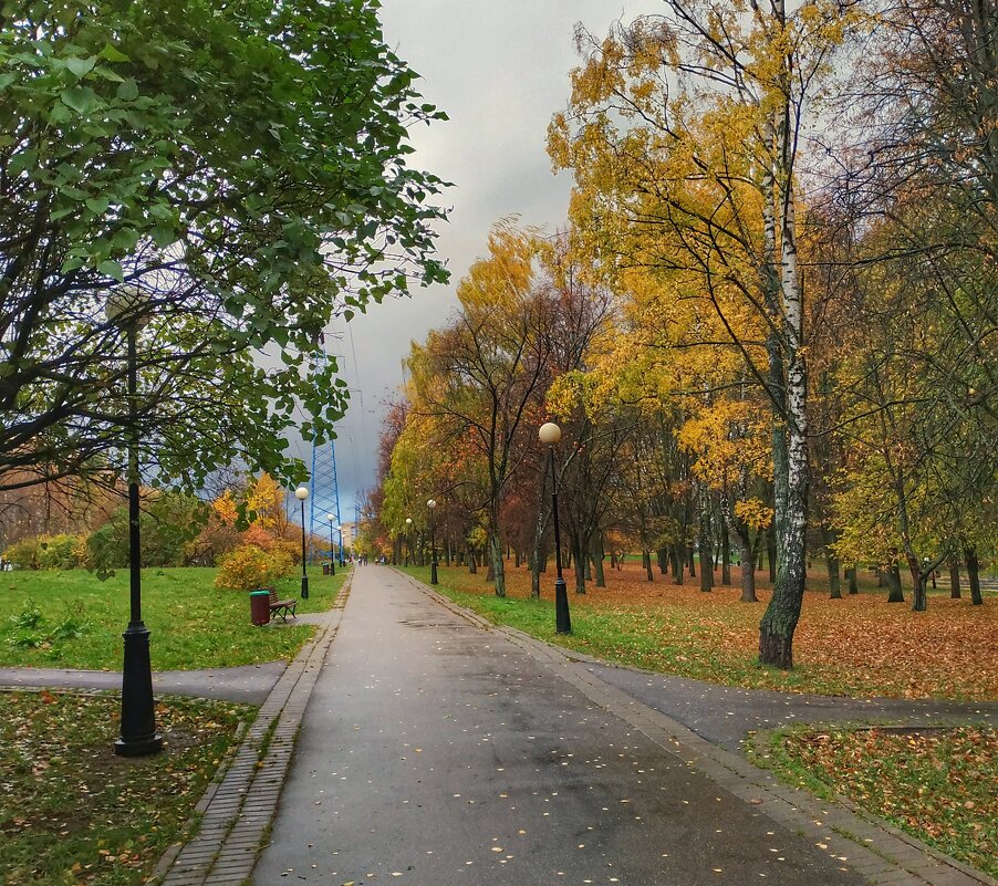 в парке Осень - Валентина. .