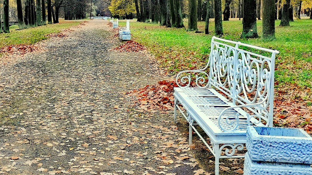 В Александровском парке - опустели дорожки - Сергей 
