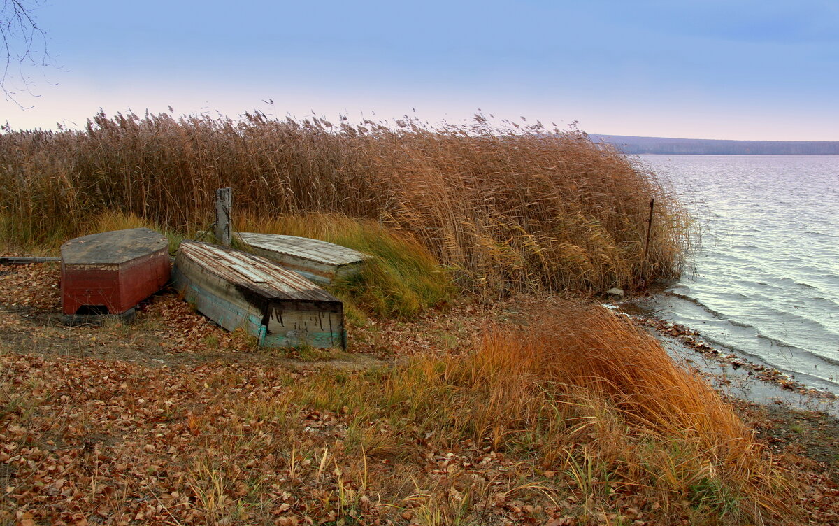 Лодки перед зимовкой - Нэля Лысенко