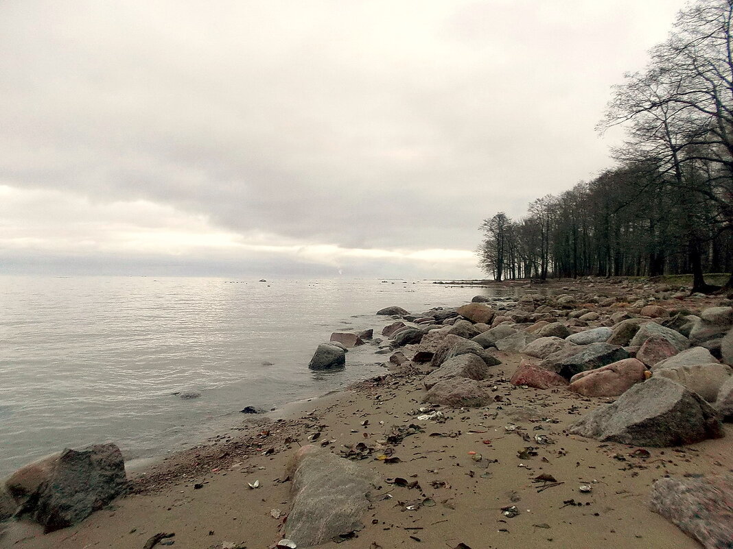 Поздняя осень на Финском заливе. - VasiLina *
