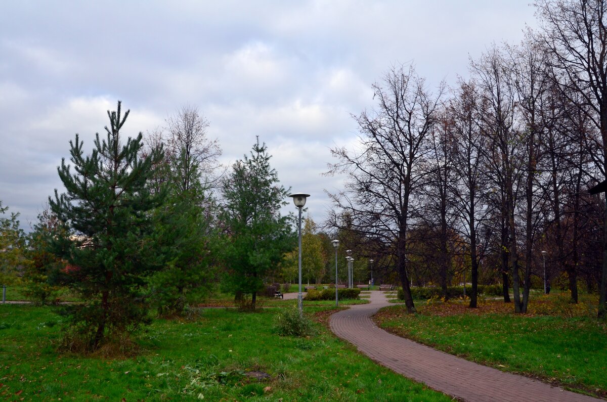 Парк "Борисовские пруды" - Oleg4618 Шутченко