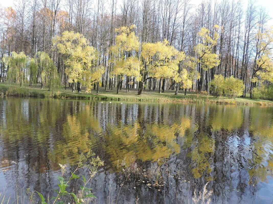 Акварель на воде. - Мария Васильева