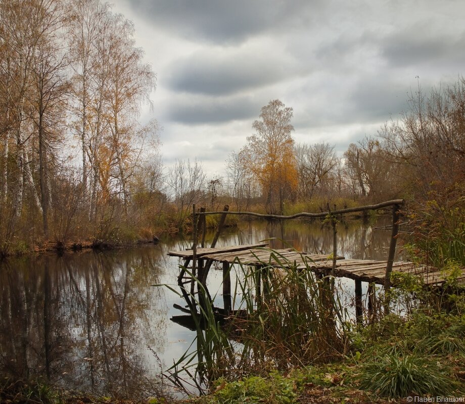 Поздняя осень - Pavel Blashkin