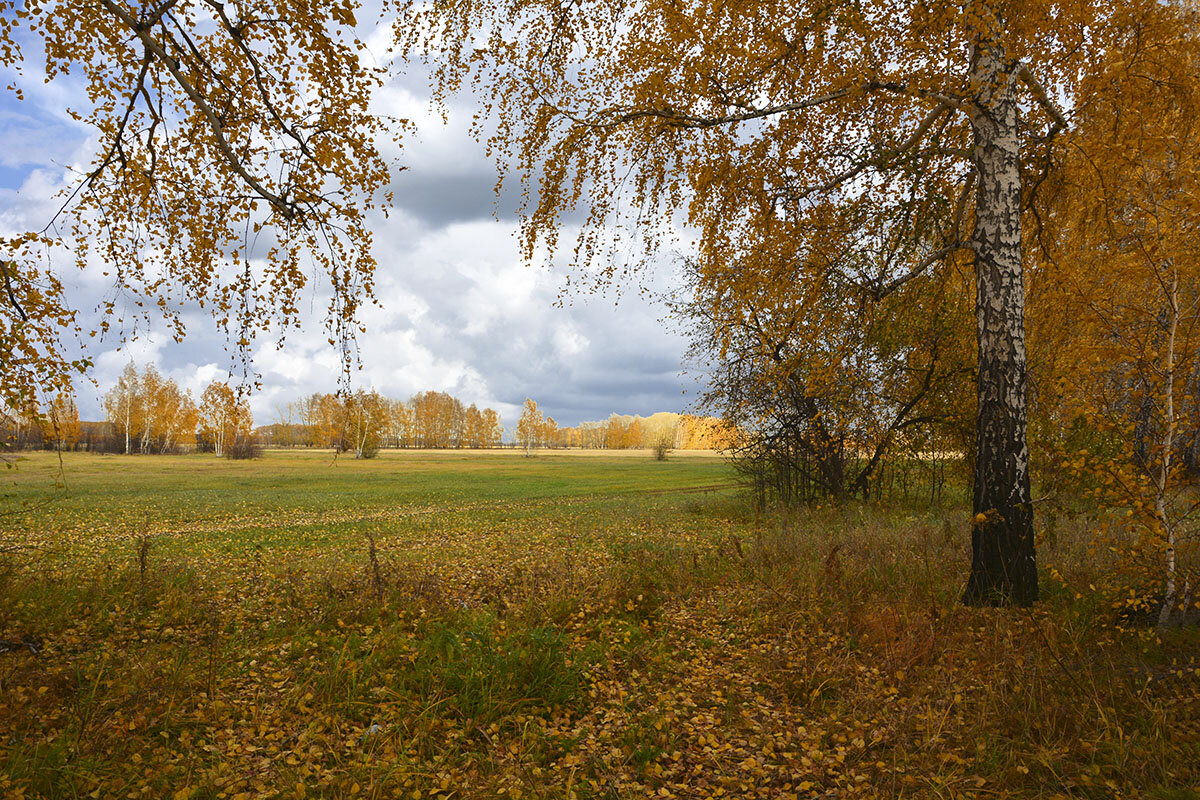 Осенняя  погода - Геннадий Супрун