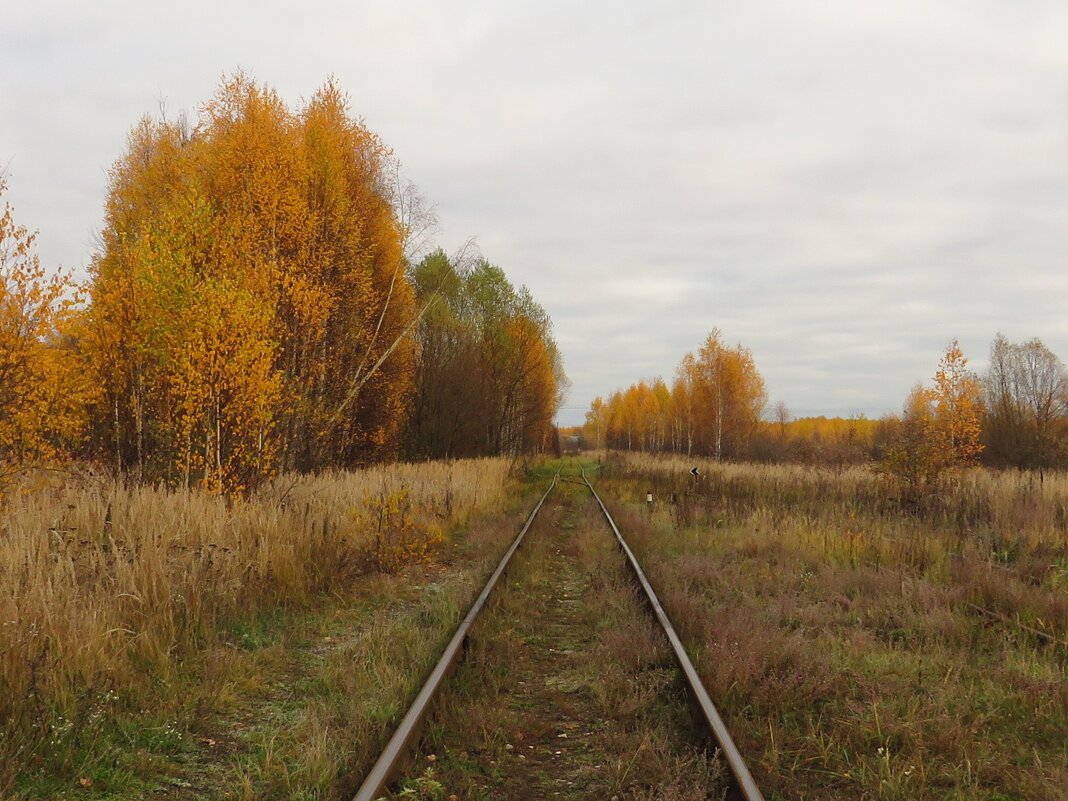 Путь к горизонту - Андрей Снегерёв