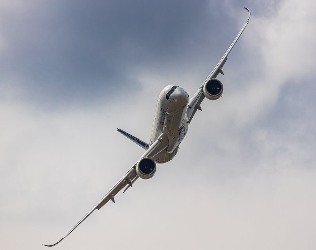 Airbus A350-1000 - Roman Galkov