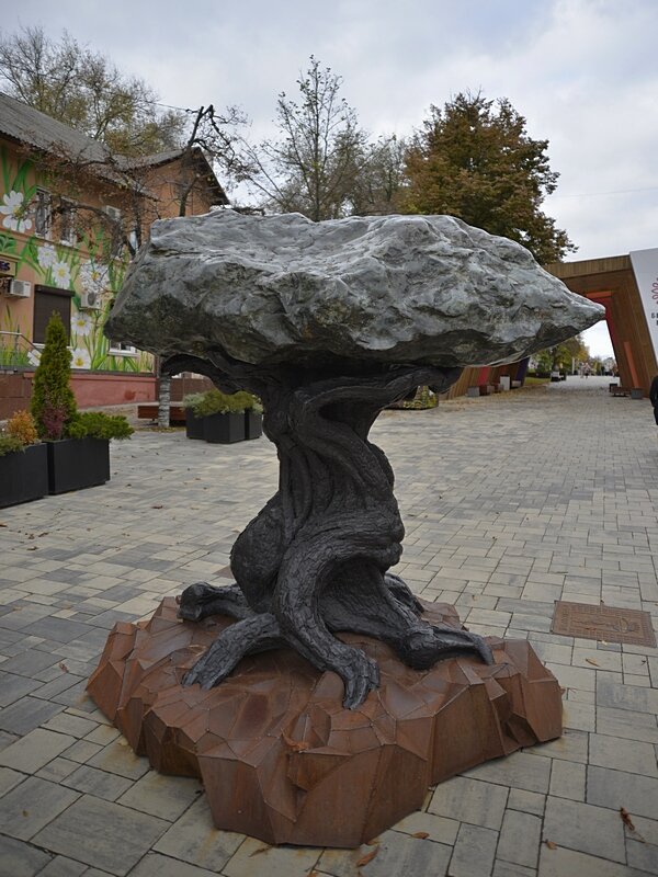 Дерево-камень - Сеня Белгородский