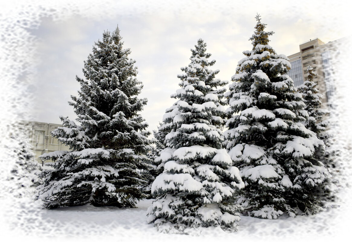 елки в снегу - Танзиля Завьялова