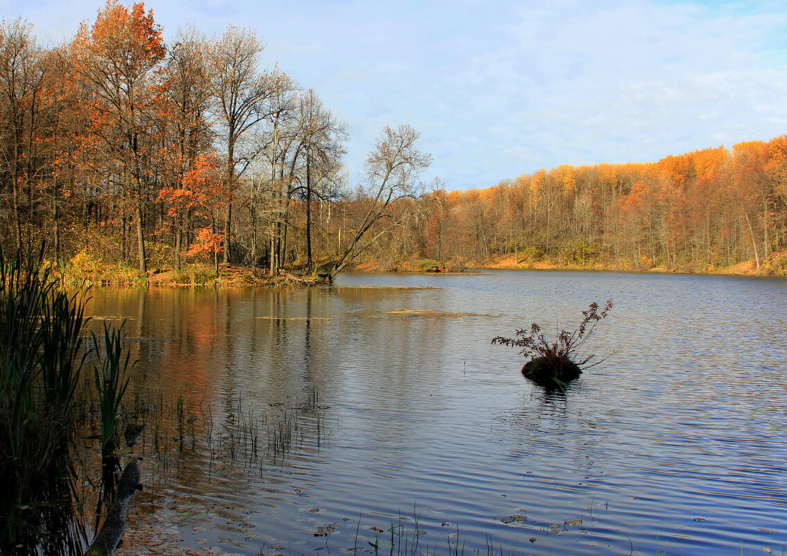 Осень - Ната Волга