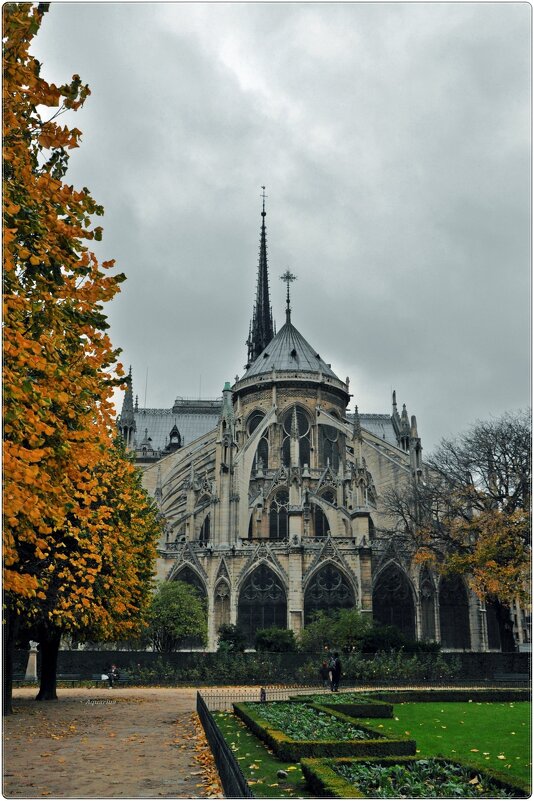 Notre Dame de Paris - Aquarius - Сергей