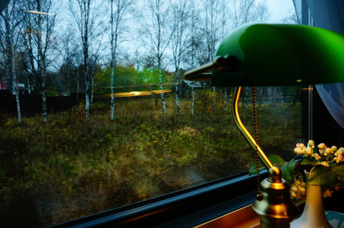 Взгляд из окна ретро-поезда - Анастасия Макарова