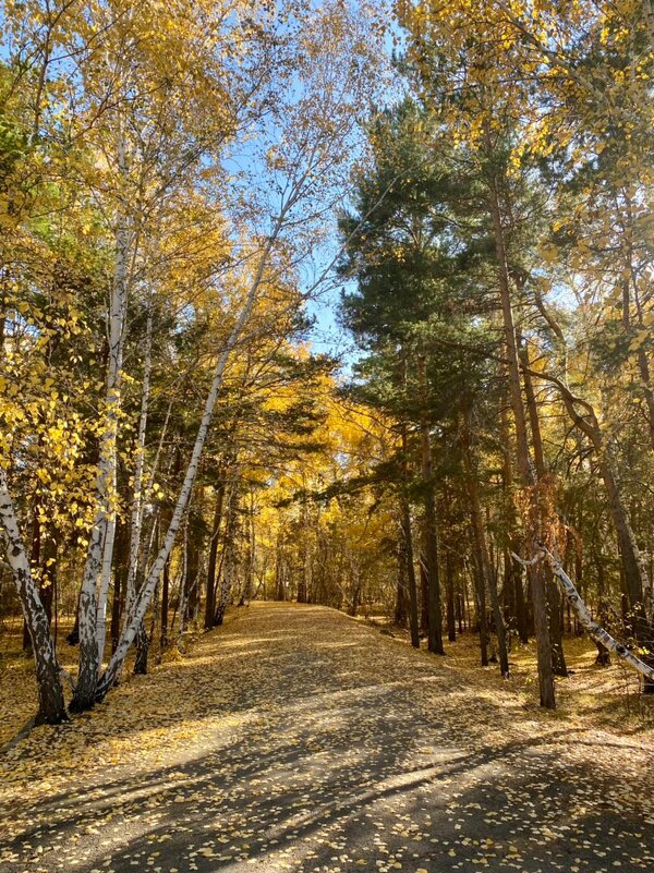 Осенний лес - Нина Колгатина 
