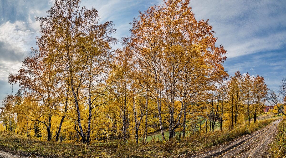 Панорама - SanSan 