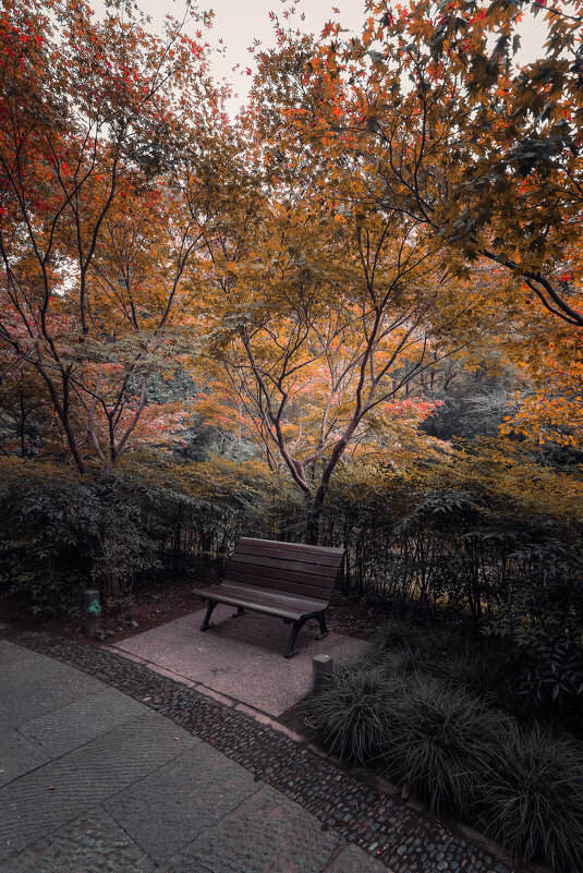 Парк в Ханчжоу - Дмитрий 