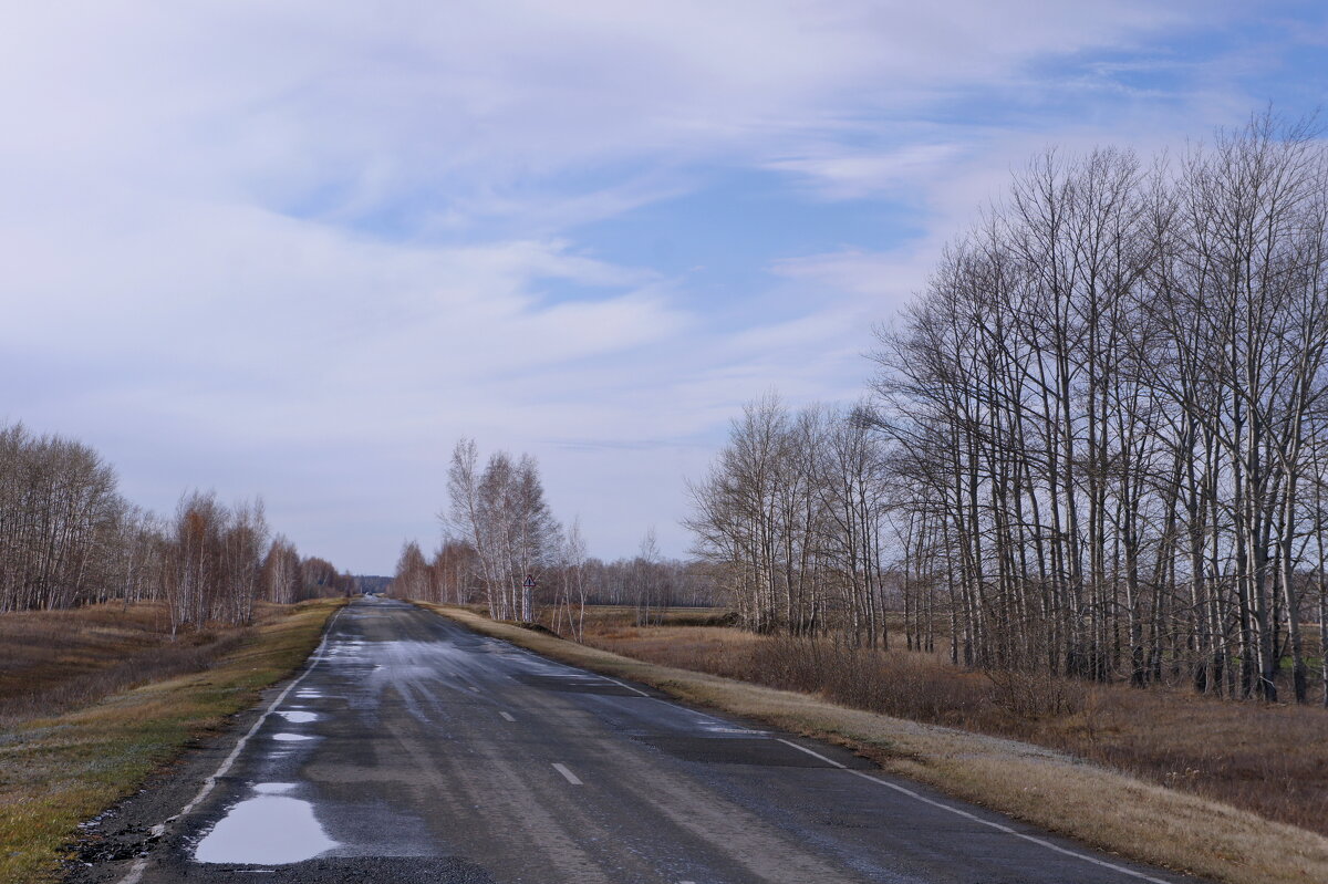 Осенняя дорога. - сергей 