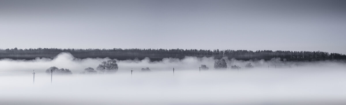Панорама зимнего тумана - Сергей Шабуневич