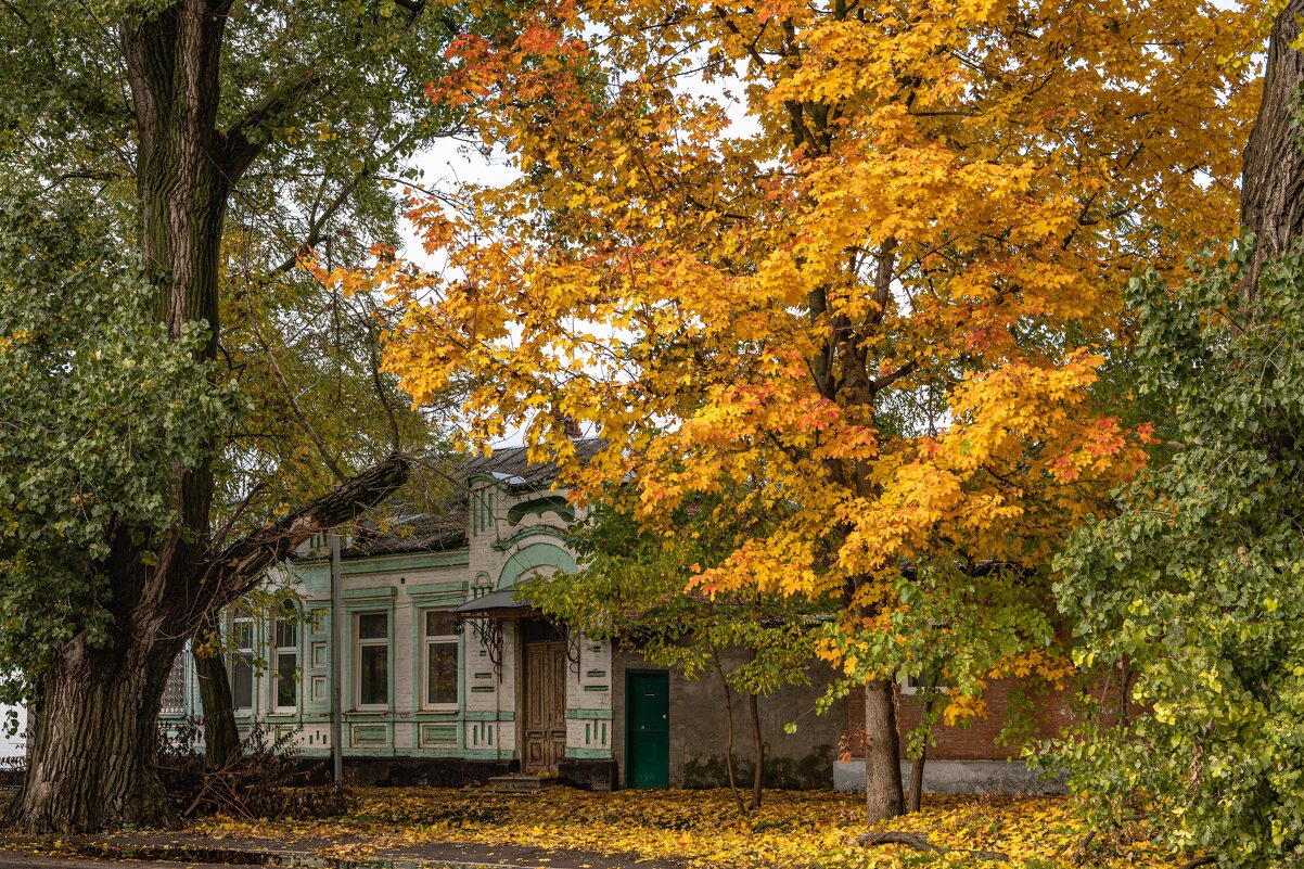 Осень в городе - Константин Бобинский