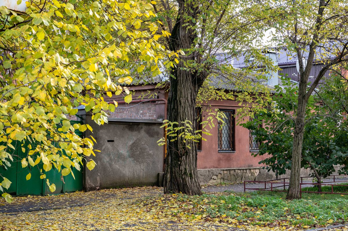 Осень в городе - Константин Бобинский