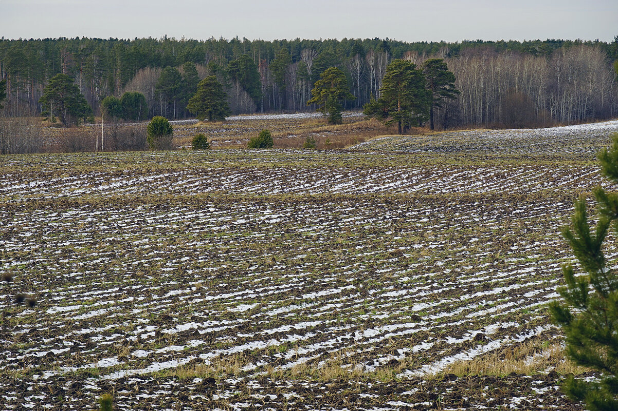 Вид на поля с останками первого снега - Галина Кан