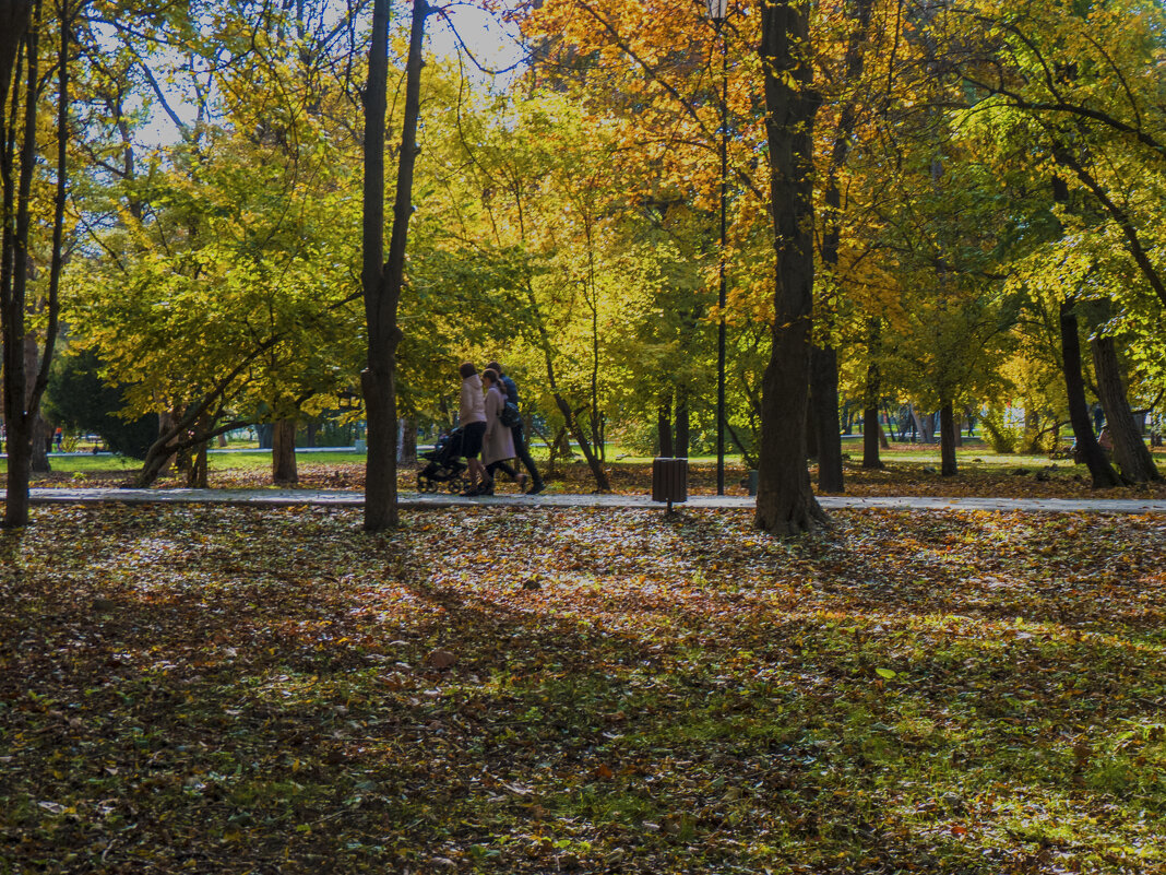 Осень в Гагаринском парке - Валентин Семчишин