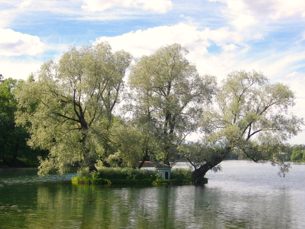 В Гатчинском парке. - Лия ☼