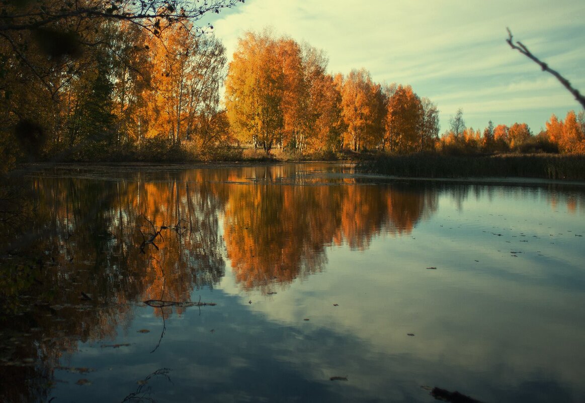 Осень - Тимур Кострома ФотоНиКто Пакельщиков