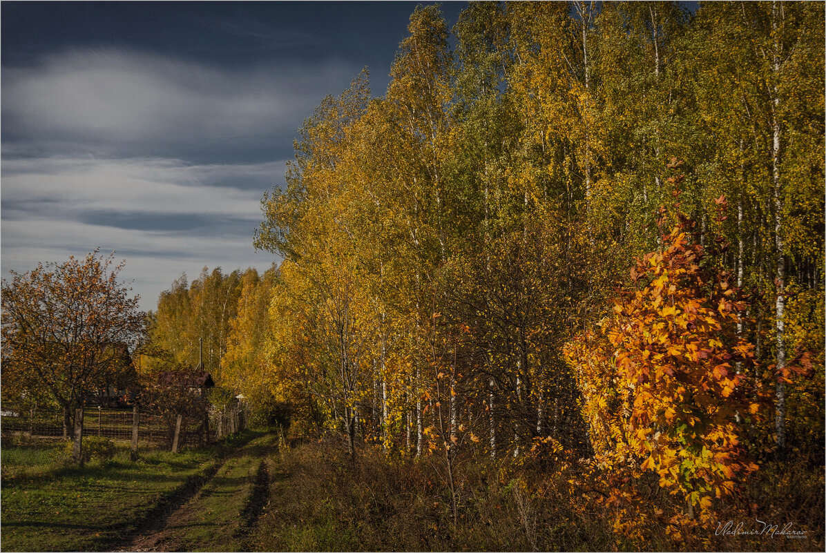 "Оглядываясь на золотую осень"© - Владимир Макаров