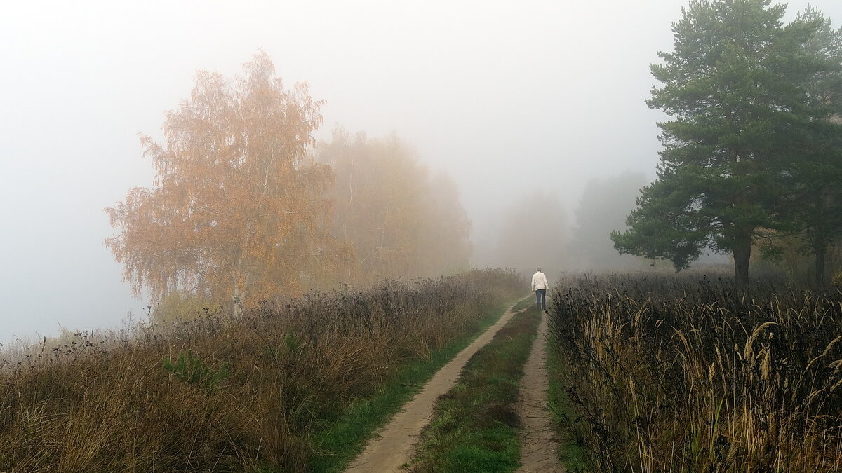 Утро туманное, по дороге вдоль берега Волги - Николай Белавин
