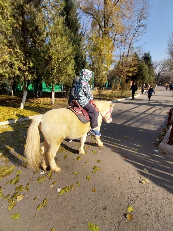 Almaty.  Zoo. - Murat Bukaev 